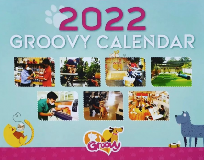 Groovy Calendar 2022