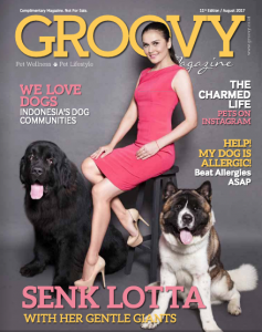 Groovy Magazine