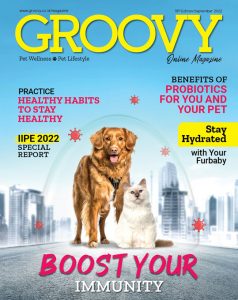 Groovy Magazine 19