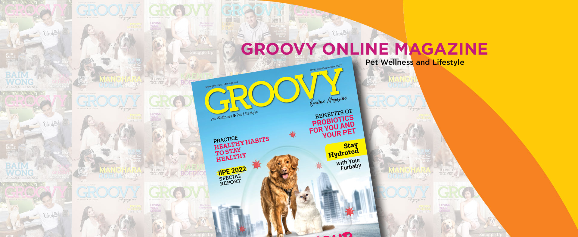 Groovy Magazine 19