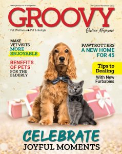 Groovy Magazine #20