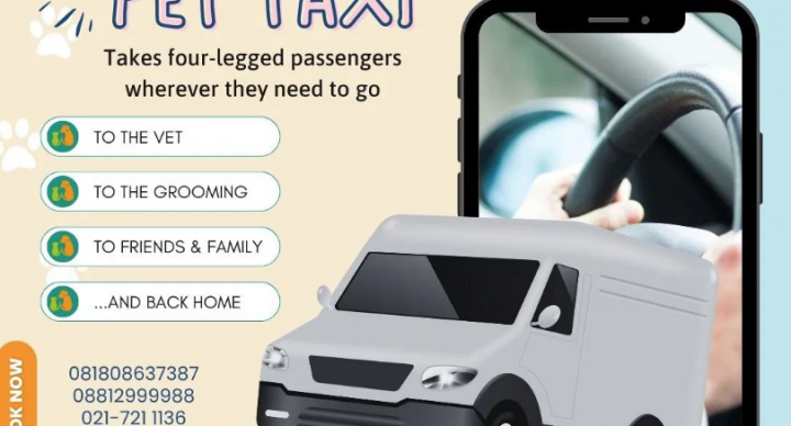 Groovy Pet Taxi