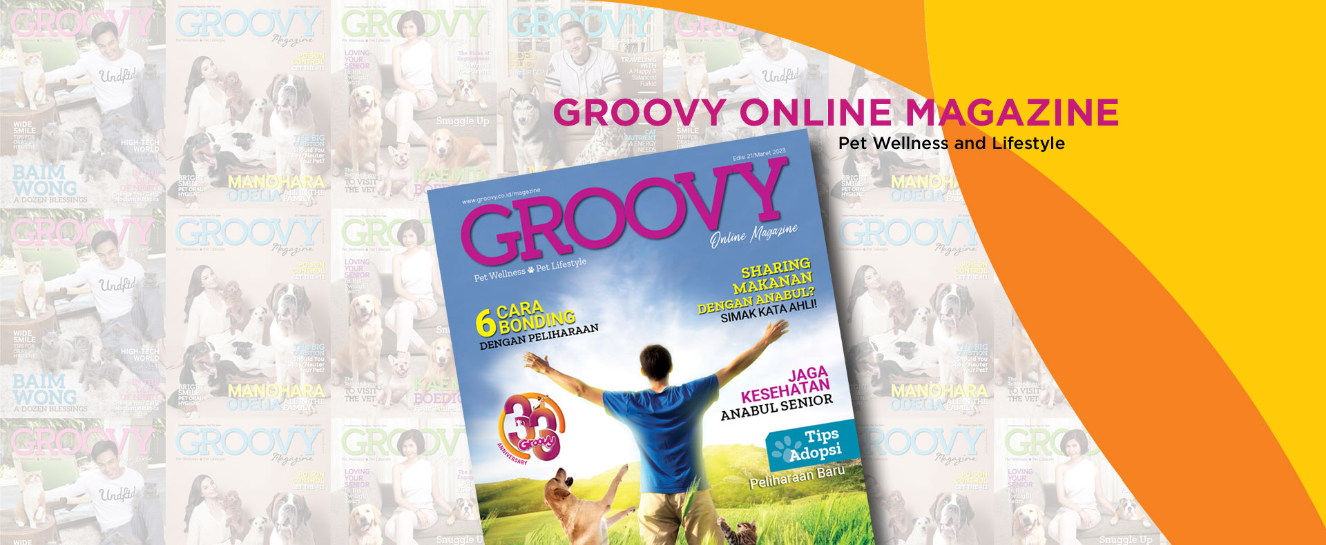 Groovy Magazine 21