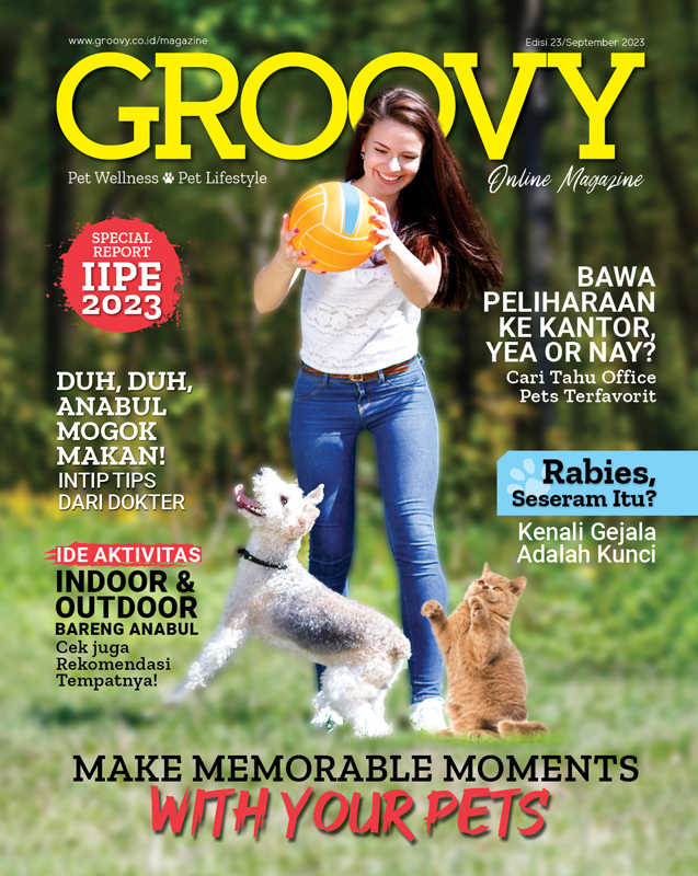 Groovy Magazine 23