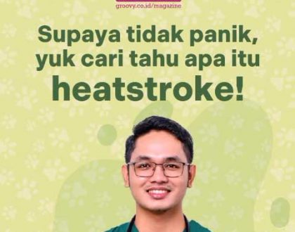 heatstroke