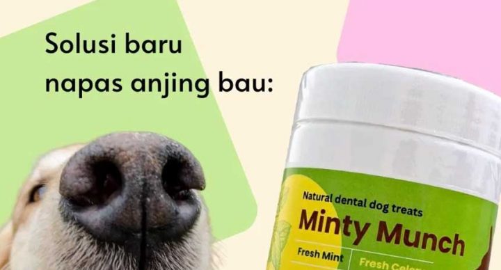 minty-munch