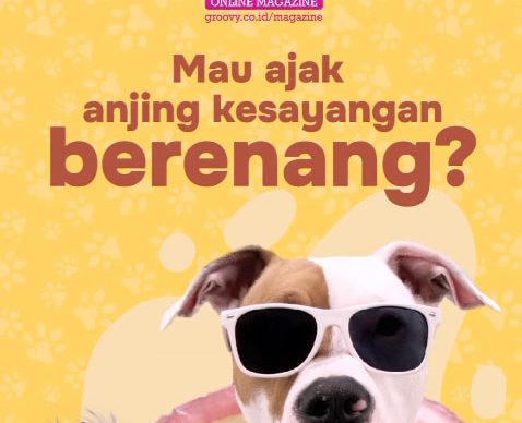 tipsanjingberenang