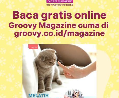 melatih-anabul