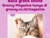 groovy magazine