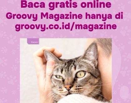 groovy magazine