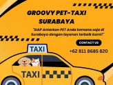 Groovy Pet Taxi Surabaya