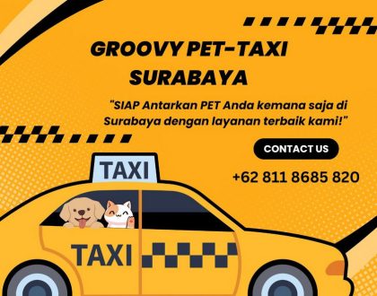 Groovy Pet Taxi Surabaya