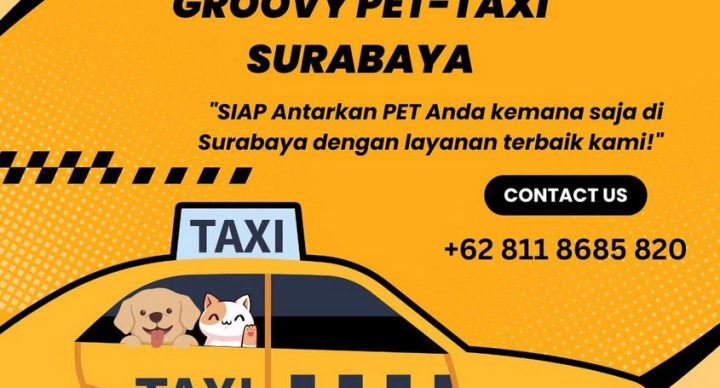 Groovy Pet Taxi Surabaya