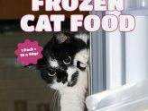 Grooviest Frozen Cat Food