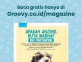 Si Doggie cuma bisa lihat hitam putih?