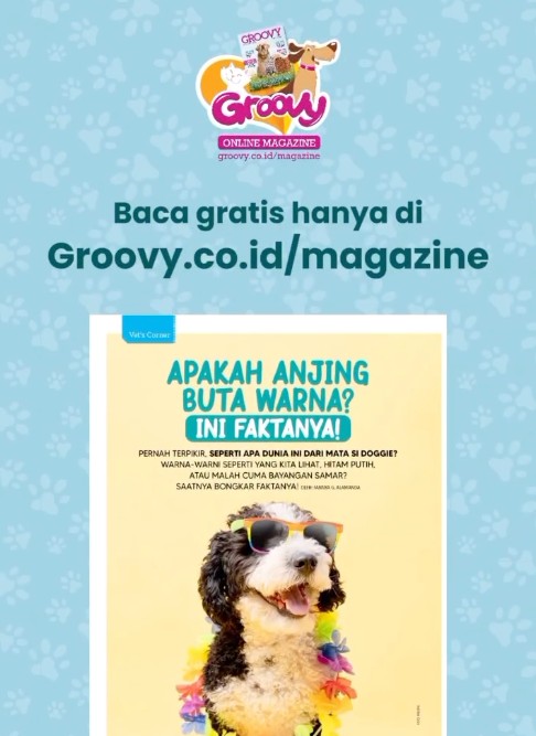 Si Doggie cuma bisa lihat hitam putih?