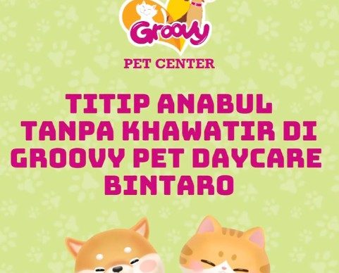 Titip Anabul di Groovy Pet Daycare Bintaro!