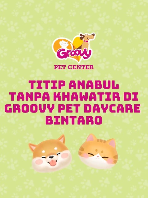 Titip Anabul di Groovy Pet Daycare Bintaro!