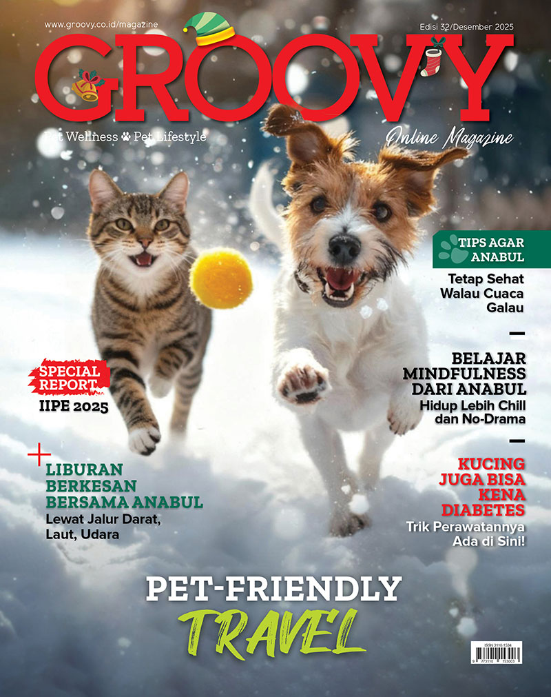Liburan bareng anabul? Semua tips ada di Groovy Magazine edisi 32
