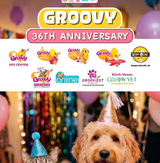 Happy 36th Anniversary Groovy — 27 Maret 2026 🎉🐾