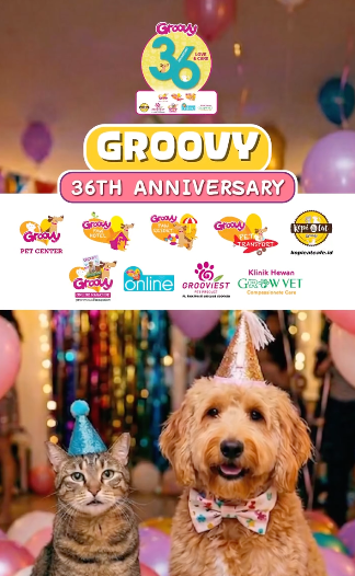 Happy 36th Anniversary Groovy — 27 Maret 2026 🎉🐾