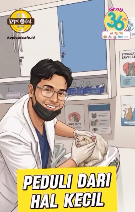 Kopi Cat Cafe Program Sterilisasi Kucing Liar