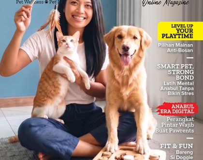 Baca Edisi Terbaru Groovy Magazine 34