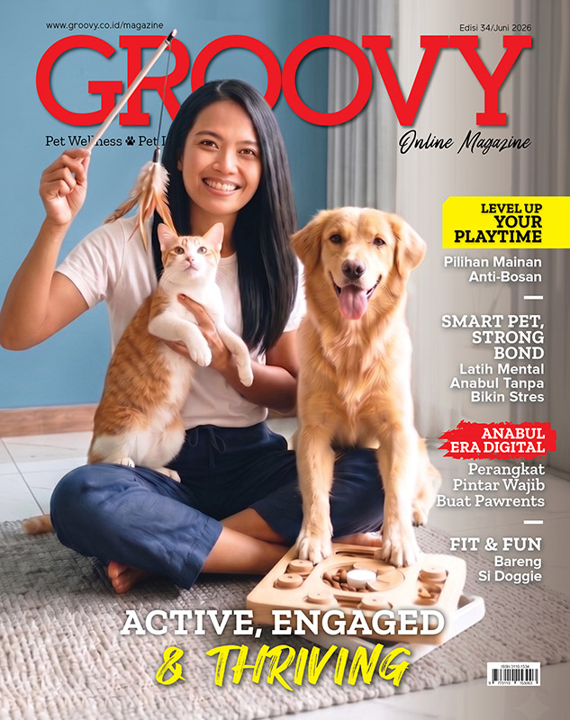 Baca Edisi Terbaru Groovy Magazine 34