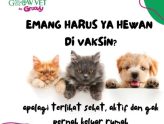 Lindungi Anabul Dengan Vaksinasi Tepat Waktu