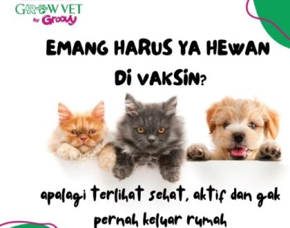 Lindungi Anabul Dengan Vaksinasi Tepat Waktu