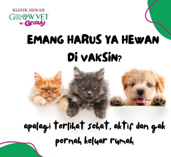 Lindungi Anabul Dengan Vaksinasi Tepat Waktu