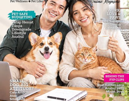 Modern Pet Parenting Khusus Buat Pawrents!