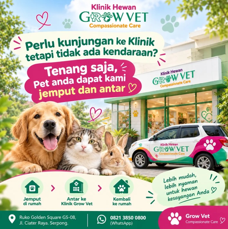 Kami siap menjemput dan mengantar!